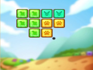 Puzzle Block